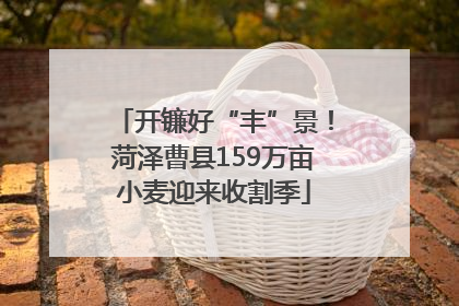 开镰好“丰”景！菏泽曹县159万亩小麦迎来收割季