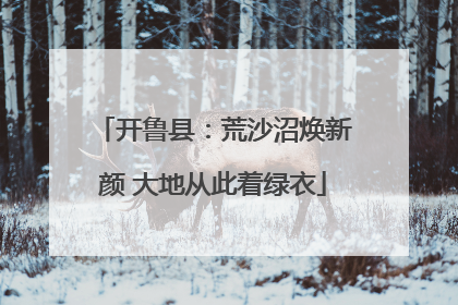 开鲁县：荒沙沼焕新颜 大地从此着绿衣