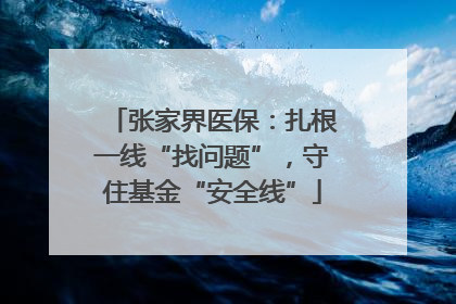 张家界医保：扎根一线“找问题”，守住基金“安全线”