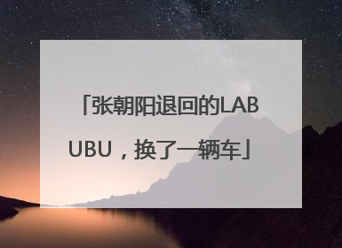 张朝阳退回的LABUBU，换了一辆车