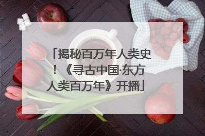 揭秘百万年人类史！《寻古中国·东方人类百万年》开播