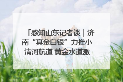 感知山东记者谈｜济南“真金白银”力推小清河航道 黄金水道激活区域经济新动能