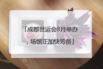 成都世运会8月举办，场馆正加快筹备