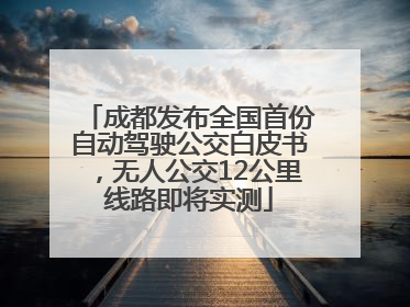 成都发布全国首份自动驾驶公交白皮书，无人公交12公里线路即将实测