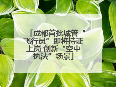 成都首批城管“飞行员”即将持证上岗 创新“空中执法”场景