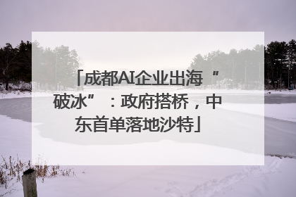 成都AI企业出海“破冰”：政府搭桥，中东首单落地沙特