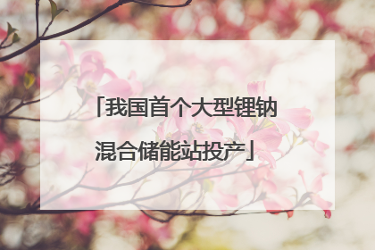我国首个大型锂钠混合储能站投产
