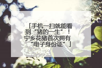 手机一扫就能看到“猪的一生”！宁乡花猪首次拥有“电子身份证”
