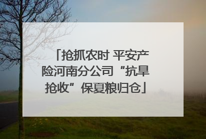 抢抓农时 平安产险河南分公司“抗旱抢收”保夏粮归仓