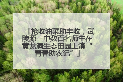 抢收油菜助丰收，武陵源一中数百名师生在黄龙洞生态田园上演“青春助农记”