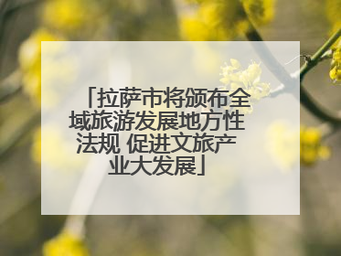 拉萨市将颁布全域旅游发展地方性法规 促进文旅产业大发展