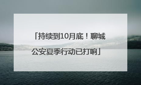 持续到10月底！聊城公安夏季行动已打响