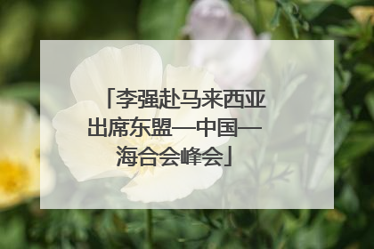 李强赴马来西亚出席东盟—中国—海合会峰会