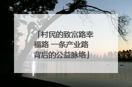 村民的致富路幸福路 一条产业路背后的公益脉络