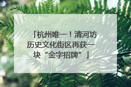 杭州唯一！清河坊历史文化街区再获一块“金字招牌”
