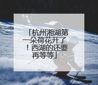 杭州湘湖第一朵荷花开了！西湖的还要再等等