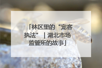 林区里的“宠客执法”｜湖北市场监管所的故事