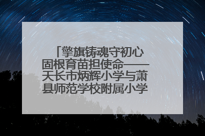 擎旗铸魂守初心 固根育苗担使命——天长市炳辉小学与萧县师范学校附属小学结对共建活动纪实