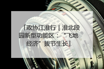 政协江淮行｜淮北段园新型功能区：“飞地经济”拔节生长