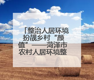 整治人居环境 扮靓乡村“颜值”——菏泽市农村人居环境整治侧记
