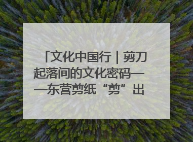 文化中国行｜剪刀起落间的文化密码——东营剪纸“剪”出非遗传承与现代生活的融合之道