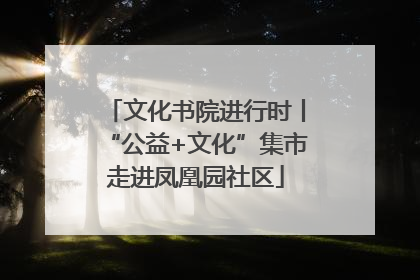 文化书院进行时丨“公益+文化”集市走进凤凰园社区