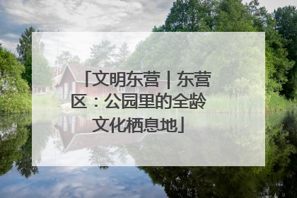 文明东营｜东营区：公园里的全龄文化栖息地