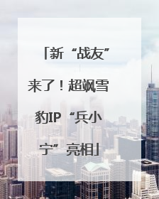 新“战友”来了！超飒雪豹IP“兵小宁”亮相