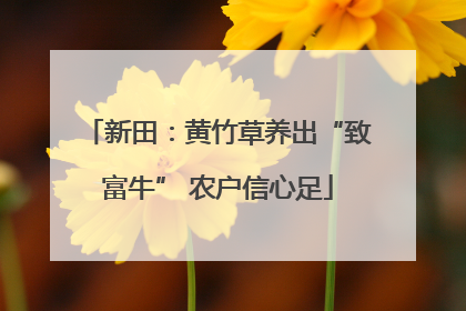 新田：黄竹草养出“致富牛” 农户信心足