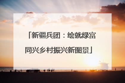 新疆兵团：绘就绿富同兴乡村振兴新图景