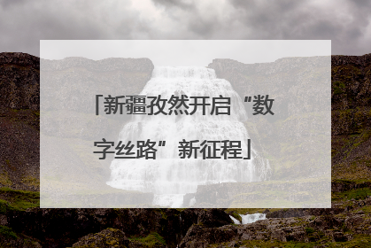 新疆孜然开启“数字丝路”新征程
