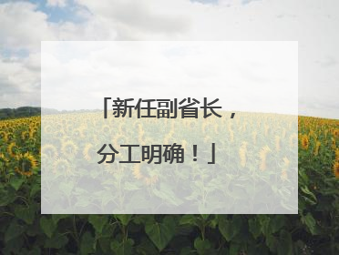 新任副省长，分工明确！