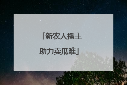 新农人播主 助力卖瓜难