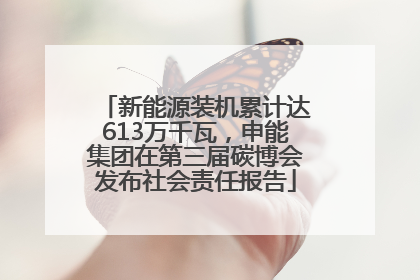 新能源装机累计达613万千瓦，申能集团在第三届碳博会发布社会责任报告
