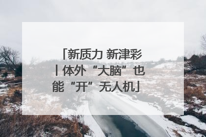 新质力 新津彩丨体外“大脑”也能“开”无人机