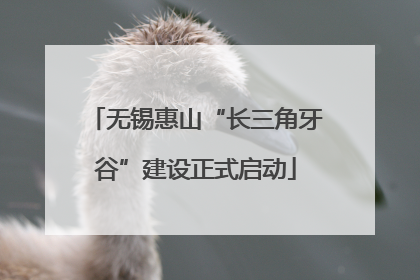 无锡惠山“长三角牙谷”建设正式启动