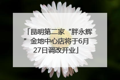 昆明第二家“胖永辉”金地中心店将于6月27日调改开业