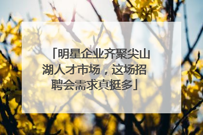 明星企业齐聚尖山湖人才市场，这场招聘会需求真挺多