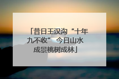 昔日王汉沟“十年九不收” 今日山水成景桃树成林