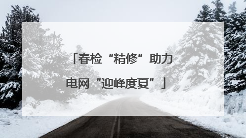 春检“精修”助力电网“迎峰度夏”