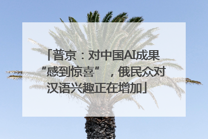 普京：对中国AI成果“感到惊喜”，俄民众对汉语兴趣正在增加