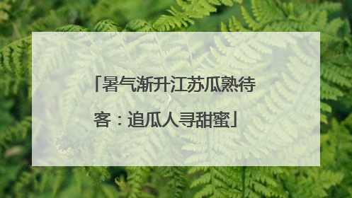 暑气渐升江苏瓜熟待客：追瓜人寻甜蜜