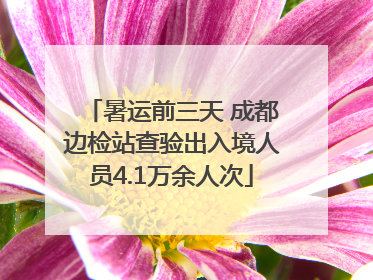 暑运前三天 成都边检站查验出入境人员4.1万余人次