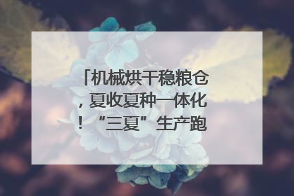 机械烘干稳粮仓，夏收夏种一体化！“三夏”生产跑出加速度｜麦报