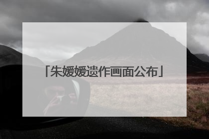 朱媛媛遗作画面公布