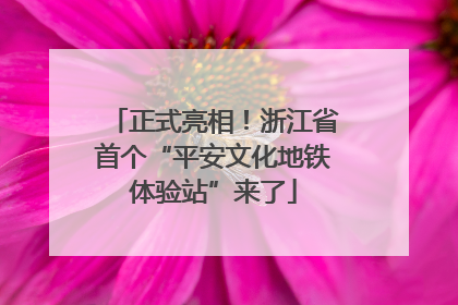 正式亮相！浙江省首个“平安文化地铁体验站”来了