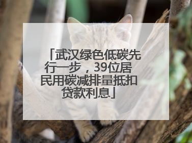武汉绿色低碳先行一步，39位居民用碳减排量抵扣贷款利息