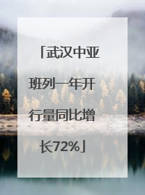 武汉中亚班列一年开行量同比增长72%
