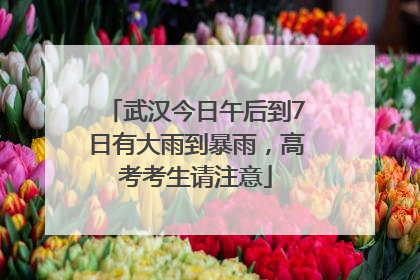 武汉今日午后到7日有大雨到暴雨，高考考生请注意