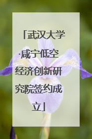 武汉大学·咸宁低空经济创新研究院签约成立